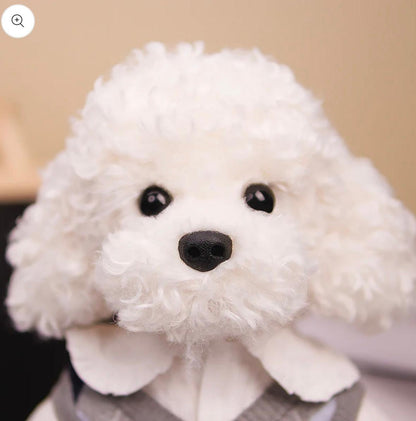 White Poodle (School dress)