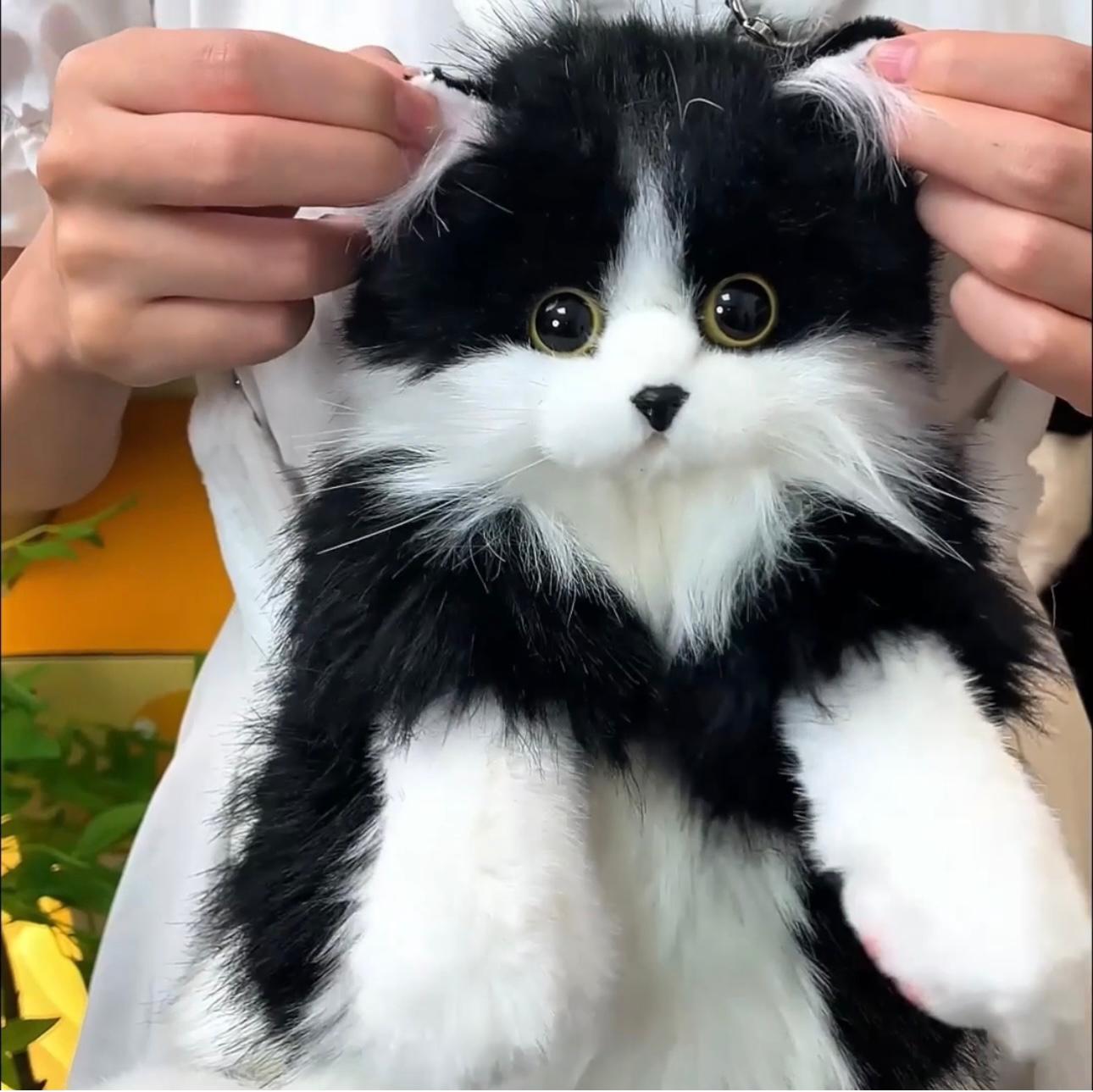 Mini Tuxedo Cat Backpack